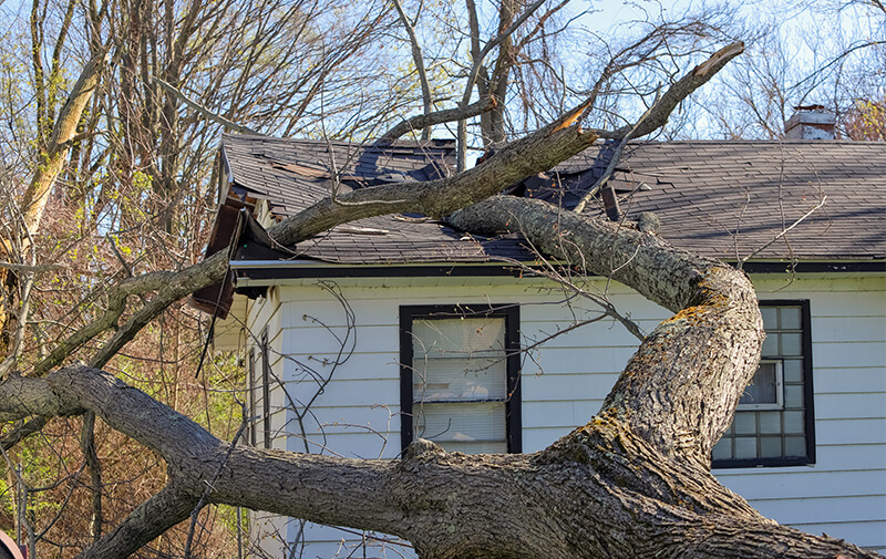https://leocare.eu/fr/wp-content/uploads/2021/01/assurance-habitation-catastrophes-naturelles.jpg