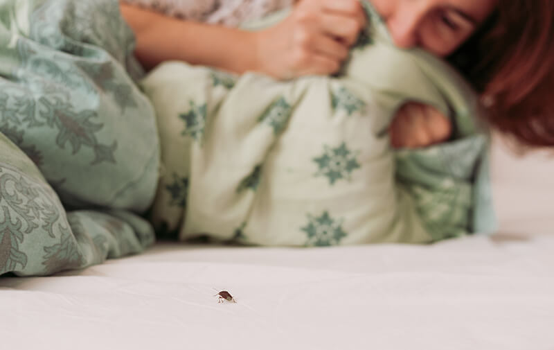 https://leocare.eu/fr/wp-content/uploads/2021/01/femme-punaise-de-lit.jpg
