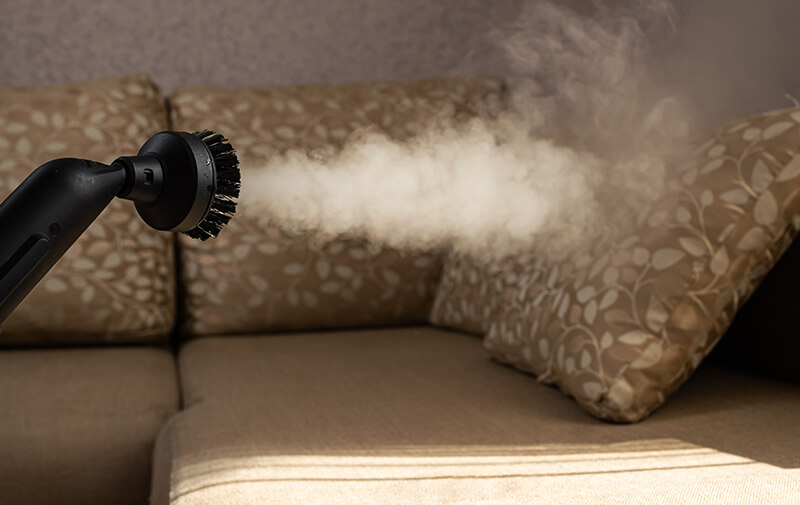 https://leocare.eu/fr/wp-content/uploads/2021/01/nettoyeur-vapeur-punaise-de-lit.jpg