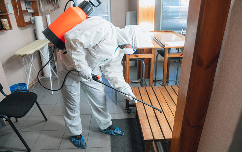https://leocare.eu/fr/wp-content/uploads/2021/01/traitement-professionnel-punaises-de-lit.jpg