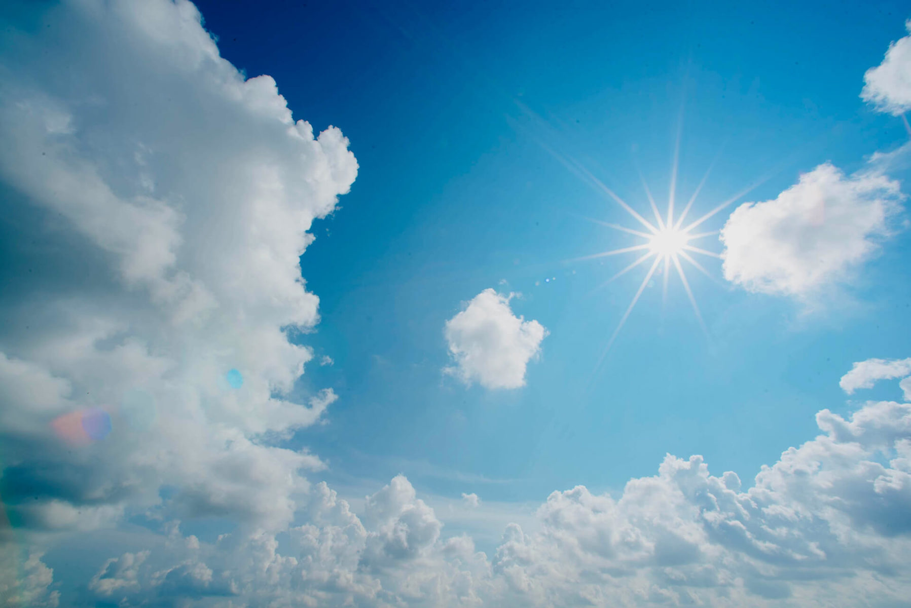 canicule leocare