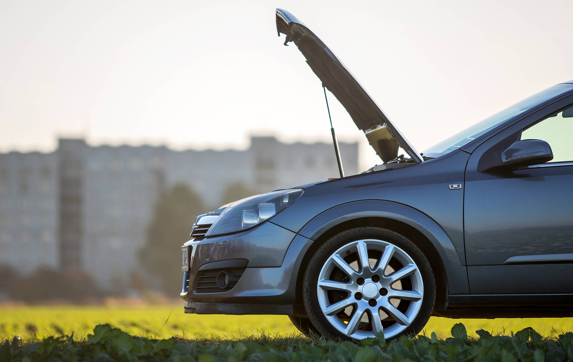 capot voiture dans un champ