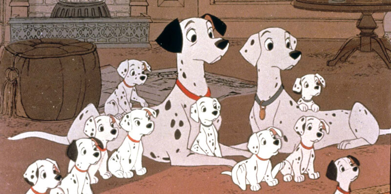 101 dalmatiens