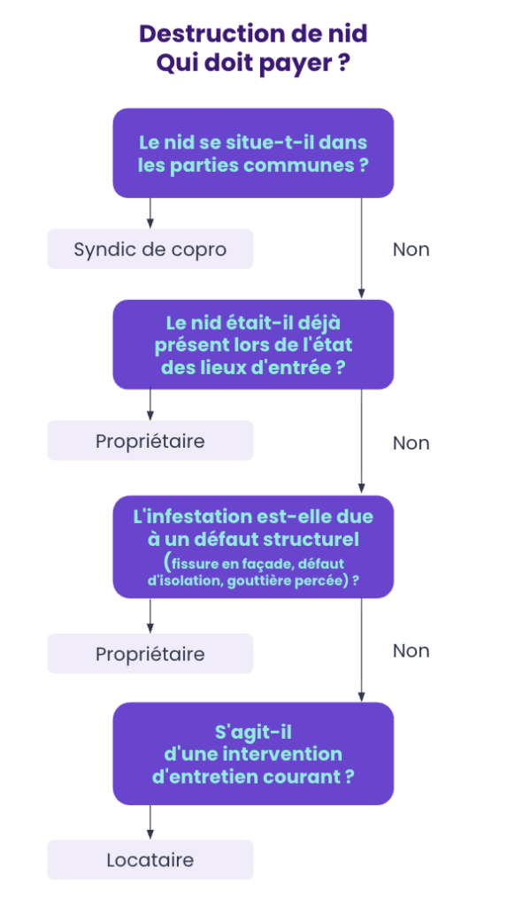etapes destruction nid