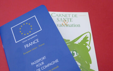 passeport chat