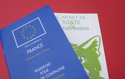 passeport chat