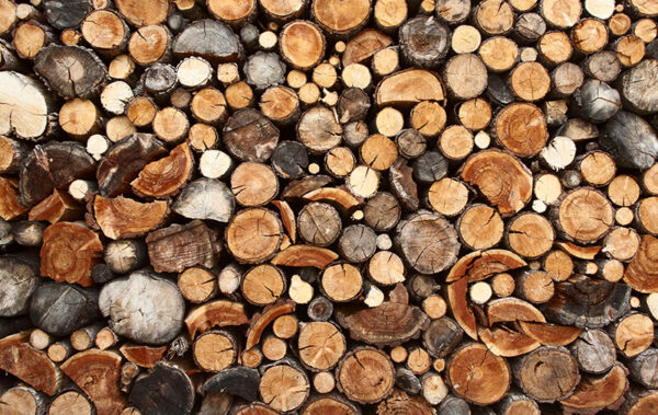 bois chauffage