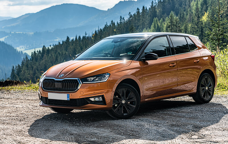 https://leocare.eu/fr/wp-content/uploads/2025/10/skoda-fabia.jpg