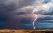 tempete amy