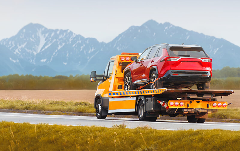 voiture electrique remorque