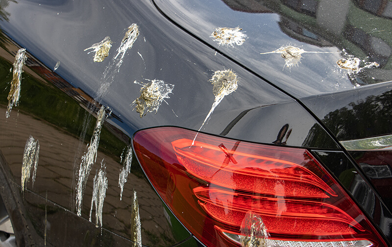 fiente carrosserie voiture