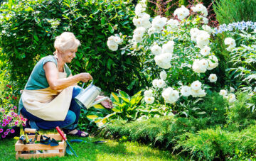 dame jardin