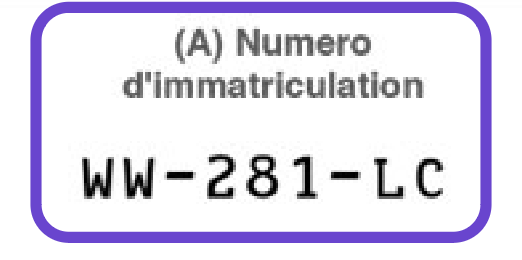 rubrique a carte grise provisoire numero immatriculation